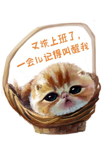 大将军：阿耶莎只说当年不想结婚生娃 坦诚没错 你们还不想上班呢