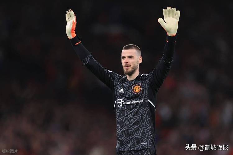 德赫亚谈远离赛场一年：最美好一年之一，明白即使不踢球也能生活